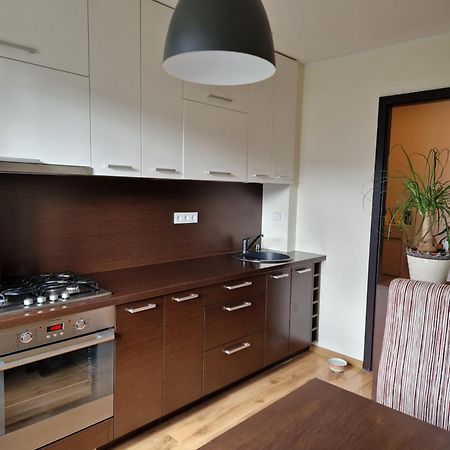 Siaure Apartment Kaunas Bagian luar foto