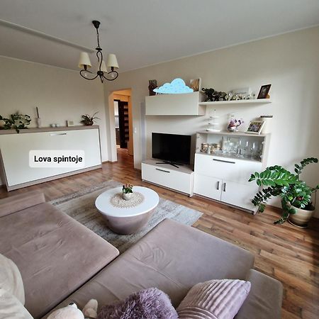 Siaure Apartment Kaunas Bagian luar foto